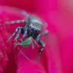 线上娱乐平台风险分析与个人账户安全保护实用指南 8311j