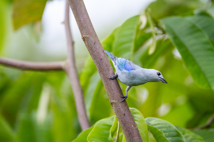 BTV体育频道高清直播在线观看精彩赛事