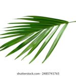 BTV9直播在线观看高清流畅北京电视台文艺频道 djp801wz