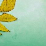 a米直播间精彩互动,欢乐时光不容错过 u4cp8twzal