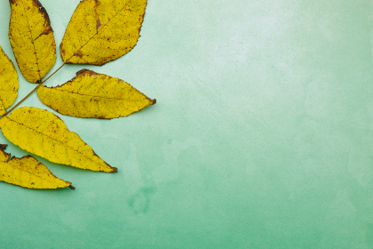 a米直播间精彩互动,欢乐时光不容错过