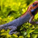 线上老虎机技巧分享:从基础到进阶的全面指南 zffmp5xm