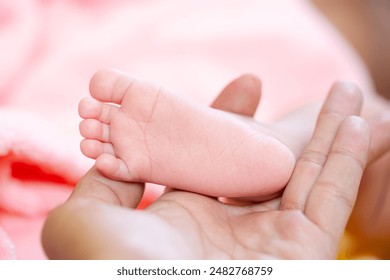 缅甸果博唯一官网最新动态与官方认证信息汇总