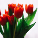 《中国好声音》第三季震撼直播全程回顾 m85wf4