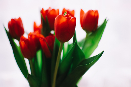 《中国好声音》第三季震撼直播全程回顾